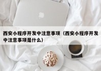 西安小程序开发中注意事项（西安小程序开发中注意事项是什么）