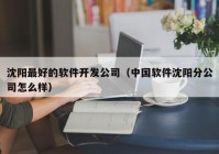 沈阳最好的软件开发公司（中国软件沈阳分公司怎么样）