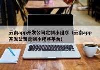 云南app开发公司定制小程序（云南app开发公司定制小程序平台）