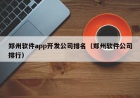 郑州软件app开发公司排名（郑州软件公司排行）