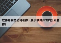 软件开发类公司名称（关于软件开发的公司名称）