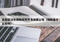 名称武汉市博畅软件开发有限公司（博畅是什么软件）