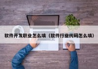 软件开发职业怎么填（软件行业代码怎么填）