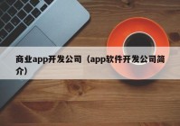 商业app开发公司（app软件开发公司简介）