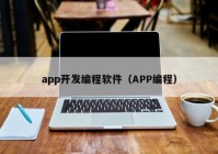 app开发编程软件（APP编程）