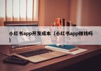 小红书app开发成本（小红书app赚钱吗）