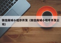 微信商城小程序开发（微信商城小程序开发公司）