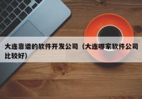 大连靠谱的软件开发公司（大连哪家软件公司比较好）