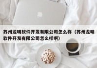 苏州龙明软件开发有限公司怎么样（苏州龙明软件开发有限公司怎么样啊）