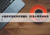 小程序开发软件开发图片（开发小程序的软件）