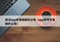 武汉app开发和制作公司（app软件开发制作公司）