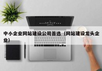 中小企业网站建设公司首选（网站建设龙头企业）