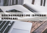 软件开发培训机构去哪个学校（软件开发培训机构培训出来的）