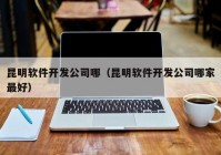 昆明软件开发公司哪（昆明软件开发公司哪家最好）