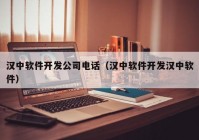 汉中软件开发公司电话（汉中软件开发汉中软件）