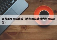 开发单页网站建设（大型网站建设大型网站开发）